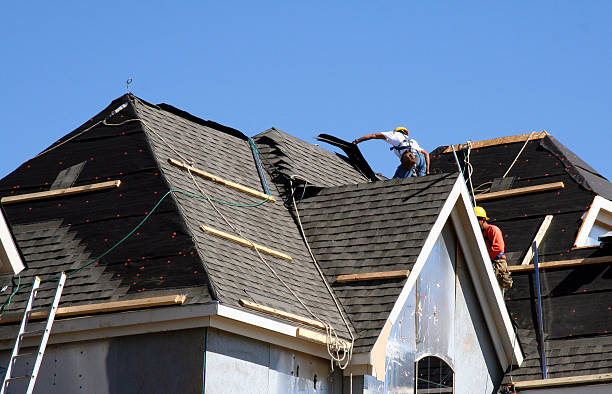 Best Roof Gutter Cleaning  in Dunellen, NJ