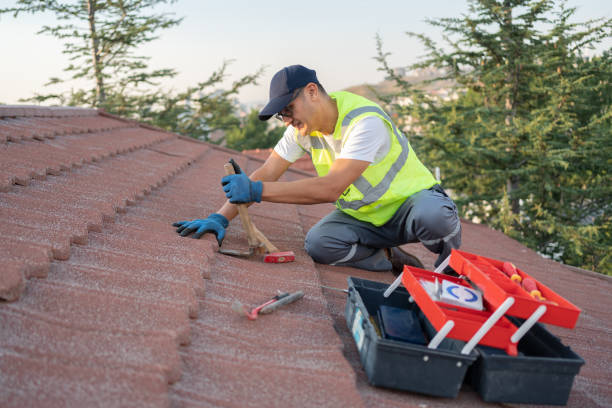 Best Roof Leak Repair  in Dunellen, NJ