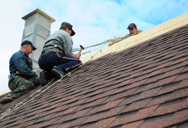 Best Roof Gutter Cleaning  in Dunellen, NJ