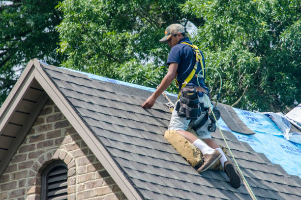 Best Shingle Roofing Installation  in Dunellen, NJ